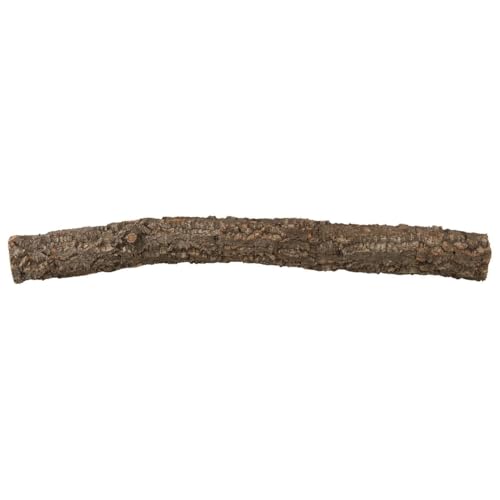 AST von der Korkeiche | 50 cm lang | Naturkork-Rinde für Terrarien | Made in Portugal | hitzedesinfiziert AST von der Korkeiche | 50 cm lang | Naturkork-Rinde für Terrarien | Made in Portugal | hitzedesinfiziert von Kork-Deko
