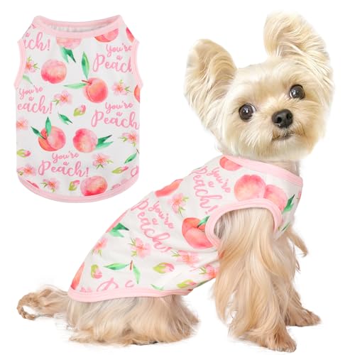Hunde-Shirt, Weste, Hundekleidung für kleine Hunde, Jungen, Mädchen, dehnbar, Sommer, Welpen, T-Shirts, weich, atmungsaktiv, leicht, Hunde-Sweatshirt, Haustier-Katzen-Outfit von Kosiyi