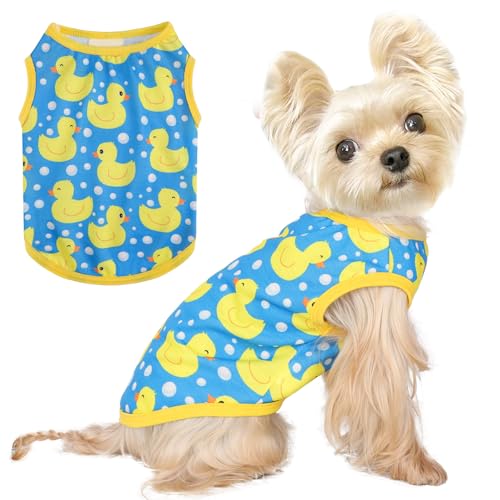 Hunde-Shirt, Weste, Hundekleidung für kleine Hunde, Jungen, Mädchen, dehnbar, Sommer, Welpen, T-Shirts, weich, atmungsaktiv, leicht, Sweatshirt, Haustier-Katzen-Outfit von Kosiyi
