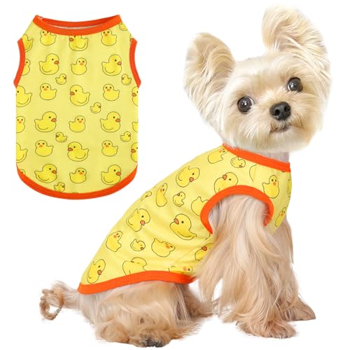 Hunde-Shirt, Weste, Hundekleidung für kleine Hunde, Jungen, Mädchen, dehnbar, Sommer, Welpen, T-Shirts, weich, atmungsaktiv, leicht, Sweatshirt, Haustier-Katzen-Outfit von Kosiyi