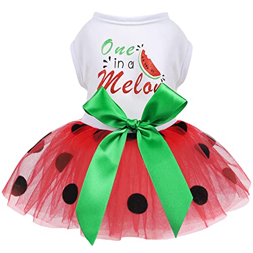 Hundekleid für Kleine Mittlere Hunde Mädchen Wassermelone Polka Dots Mesh Kleid Hundeoutfit Sommer Tutu Hundekleider Katzenbekleidung Niedliche Haustier Welpen Kleidung Doggie Outfits, Rot, Klein von Kosiyi