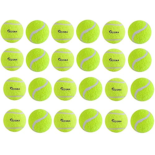 Kosma 24 Stück Tennisbälle | Trainingsball für Hunde, super Sprungkraft, perfekt für Begginer Cricket Training Praxis (mit Tragetasche - gelb) von Kosma