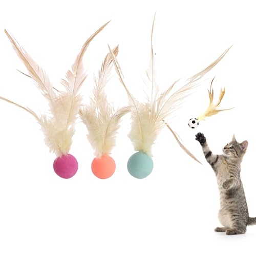 Kotkiddy Interaktives Federball-Spielzeug-Set für Katzen, Federball-Spielzeug für Katzen, Feder-Bounce-Ball-Katzen-Spielzeug (Set * B) von Kotkiddy