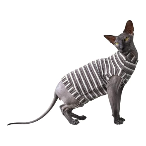 Kotomoda Cat's T-Shirt Cord für Sphynx und Nackte Katzen (braune Streifen, groß) von Kotomoda