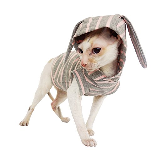 Kotomoda Katzen Kleidung Hoodie Easter Bunny (XS) von Kotomoda