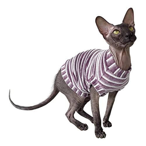 Kotomoda Katzen Kleidung Cord lila Streifen fur Sphynx Katzen (XS) Kotomoda Katzen Kleidung Cord lila Streifen fur Sphynx Katzen (XS) von Kotomoda