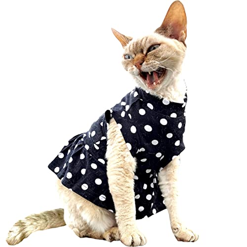 Kotomoda Katzen Kleid Polka-Dot Sphynx Katzen (M) von Kotomoda