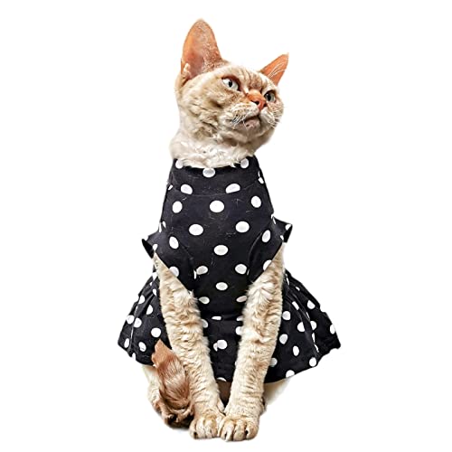 Kotomoda Katzen Kleid Polka-Dot Sphynx Katzen (XS) Kotomoda Katzen Kleid Polka-Dot Sphynx Katzen (XS) von Kotomoda