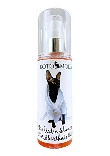 Kotomoda Probiotisches Shampoo für Kurzhaarkatzen 120 ml Cornish Rex, Oriental, Devon Rex Katze Shampoo Kotomoda Probiotisches Shampoo für Kurzhaarkatzen 120 ml Cornish Rex, Oriental, Devon Rex Katze Shampoo von Kotomoda