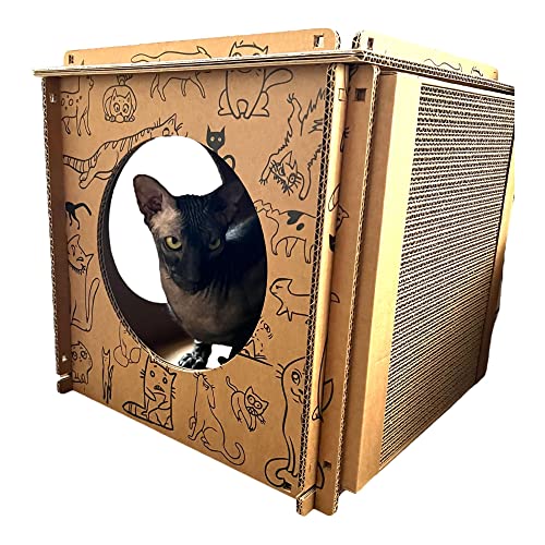 Kotomoda Premium Katzenhaus aus recycelbarem Karton mit Punsch Katzenminze (1 Würfel + Panel) von Kotomoda