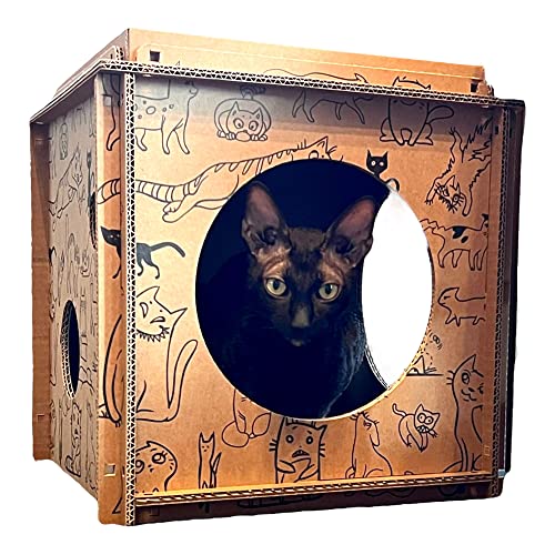 Premium Katzenhaus aus recycelbaren Kartonwürfeln mit Kratzplatte (1-Würfel) von Kotomoda