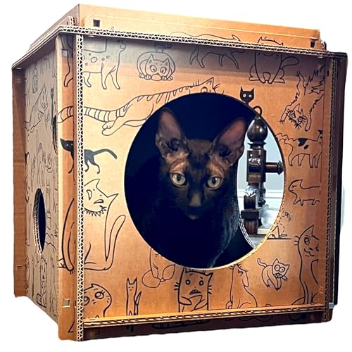 Premium Katzenhaus aus recyclebaren Kartonwürfeln (1-Würfel) von Kotomoda