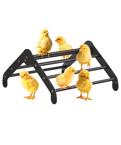 Koutemie Verstellbare Hühnerstange für Stall, robuste Metallküken-Roosting Bar für Bruter, Baby-Küken, Ständer, Spielzeug, Trainingststangen für Vogel, Papageien, Hühner, Aras, Schwarz von Koutemie