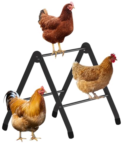 Koutemie Verstellbare Hühnerstange für Stall, robuste Metallküken-Roosting Bar für Bruter, Baby-Küken, Ständer, Spielzeug, Trainingststangen für große Vögel, Papageien, Hühner, Aras, Schwarz Koutemie Verstellbare Hühnerstange für Stall, robuste Metallküken-Roosting Bar für Bruter, Baby-Küken, Ständer, Spielzeug, Trainingststangen für große Vögel, Papageien, Hühner, Aras, Schwarz von Koutemie