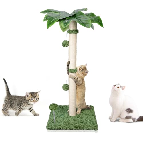 Kphico 83,8 cm hoher Katzenkratzbaum, Katzenkratzbäume für Indoor-Katzen, stabiler und langlebiger Sisal-Kratzbaum mit hängendem Ball und Federball, Spielzeug, Katzenkratzbaum für große Katzen und von Kphico