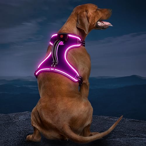Hundegeschirr Leuchtend Wiederaufladbares Leuchtgeschirr für Hunde Led Beleuchtetes Hundegeschirr für Klein Mittelgroße Große Hunde von Kpuplol