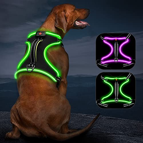 Hundegeschirr Leuchtend Wiederaufladbares Leuchtgeschirr für Hunde Led Beleuchtetes Hundegeschirr für Klein Mittelgroße Große Hunde Leucht Geschirr für Hunde von Kpuplol