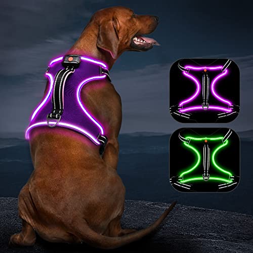 Hundegeschirr Leuchtend Wiederaufladbares Leuchtgeschirr für Hunde Led Beleuchtetes Hundegeschirr für Klein Mittelgroße Große Hunde von Kpuplol