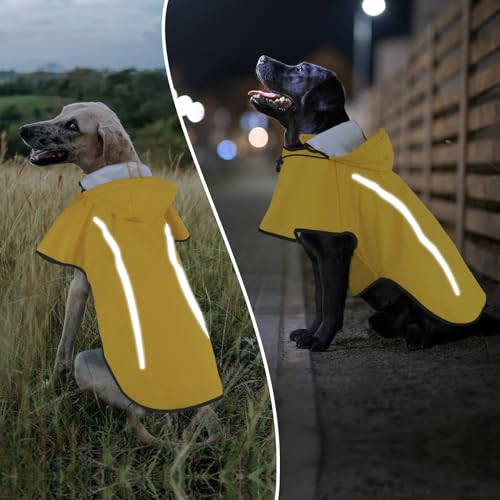 Hunderegenmantel, Regenmantel Hund mit Abnehmbare Kapuze, Hundemantel Regenjacke Hund Wasserdicht, Regenmantel für Hunde mit Reflektorstreifen, Ultraleicht Atmungsaktiv Für Hunde Outdoor von Kpuplol