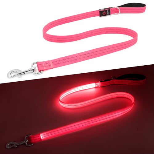 Kpuplol LED-Hundeleine für nächtliche Spaziergänge, wiederaufladbar, über USB wiederaufladbar, reflektierend und im Dunkeln leuchtend, mit gepolstertem Griff, Sicherheits-Leine für kleine, mittelgroße Kpuplol LED-Hundeleine für nächtliche Spaziergänge, wiederaufladbar, über USB wiederaufladbar, reflektierend und im Dunkeln leuchtend, mit gepolstertem Griff, Sicherheits-Leine für kleine, mittelgroße von Kpuplol