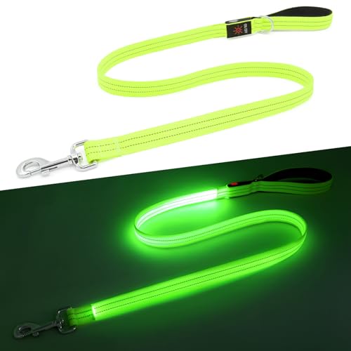 Kpuplol LED-Hundeleine für nächtliche Spaziergänge, wiederaufladbar, wiederaufladbar, reflektierend, leuchtet im Dunkeln, mit gepolstertem Griff, Sicherheits-Leine für kleine, mittelgroße und große Kpuplol LED-Hundeleine für nächtliche Spaziergänge, wiederaufladbar, wiederaufladbar, reflektierend, leuchtet im Dunkeln, mit gepolstertem Griff, Sicherheits-Leine für kleine, mittelgroße und große von Kpuplol