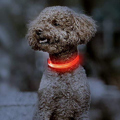 Kpuplol Leuchthalsband Hund, Hundehalsband Leuchtend, Wiederaufladbar Hundehalsband Leuchtend LED Halsband für Hunde Einstellbare Größe, 2 Beleuchtungsmodi für Kleine Mittlere Große Hunde von Kpuplol
