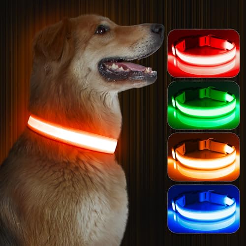 Kpuplol Leuchthalsband Hund, Hundehalsband Leuchtend, Wiederaufladbar Hundehalsband Leuchtend LED Halsband für Hunde Einstellbare Größe, 2 Beleuchtungsmodi für Kleine Mittlere Große Hunde (L) von Kpuplol