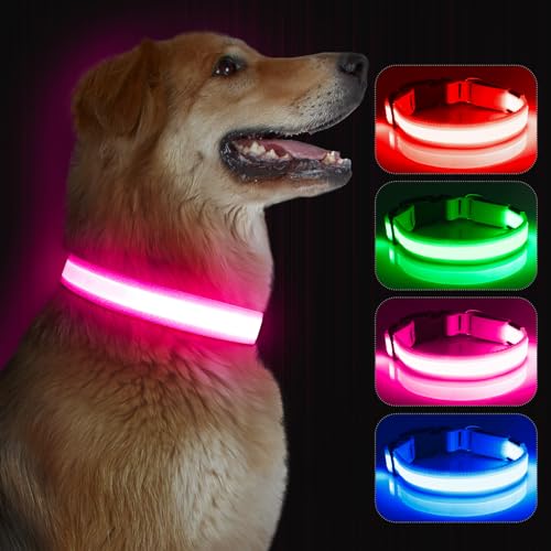 Kpuplol Leuchthalsband Hund, Hundehalsband Leuchtend, Wiederaufladbar Hundehalsband Leuchtend LED Halsband für Hunde Einstellbare Größe, 3 Beleuchtungsmodi für Kleine Mittlere Große Hunde Kpuplol Leuchthalsband Hund, Hundehalsband Leuchtend, Wiederaufladbar Hundehalsband Leuchtend LED Halsband für Hunde Einstellbare Größe, 3 Beleuchtungsmodi für Kleine Mittlere Große Hunde von Kpuplol