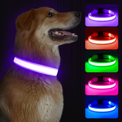 Kpuplol Leuchthalsband Hund, Hundehalsband Leuchtend, Wiederaufladbar Hundehalsband Leuchtend LED Halsband für Hunde Einstellbare Größe, 3 Beleuchtungsmodi für Kleine Mittlere Große Hunde Kpuplol Leuchthalsband Hund, Hundehalsband Leuchtend, Wiederaufladbar Hundehalsband Leuchtend LED Halsband für Hunde Einstellbare Größe, 3 Beleuchtungsmodi für Kleine Mittlere Große Hunde von Kpuplol