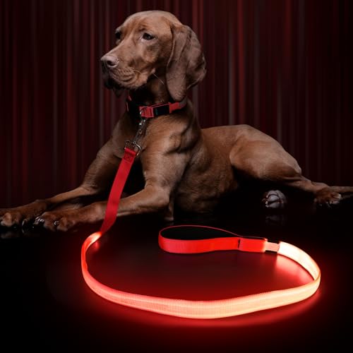 LED Hundeleine für Hunde, Hundeleine Große klein Mittelgroße Hunde mit Gepolstertem, 3 Beleuchtungsmodi Leine Hund, Wasserdicht hundeleinen, Leuchtend Hundeleine, Dog Leash von Kpuplol