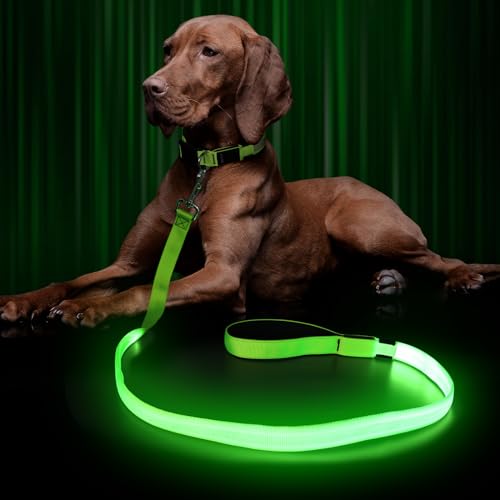 LED Hundeleine für Hunde, Hundeleine Große klein Mittelgroße Hunde mit Gepolstertem, 3 Beleuchtungsmodi Leine Hund, Wasserdicht hundeleinen, Leuchtend Hundeleine, Dog Leash von Kpuplol