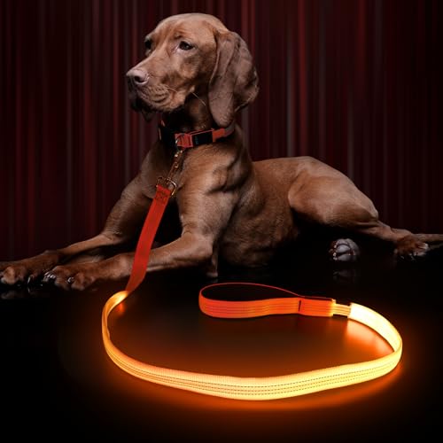 LED Hundeleine für Hunde, Hundeleine Große klein Mittelgroße Hunde mit Gepolstertem, 3 Beleuchtungsmodi Leine Hund, Wasserdicht hundeleinen, Leuchtend Hundeleine, Dog Leash LED Hundeleine für Hunde, Hundeleine Große klein Mittelgroße Hunde mit Gepolstertem, 3 Beleuchtungsmodi Leine Hund, Wasserdicht hundeleinen, Leuchtend Hundeleine, Dog Leash von Kpuplol