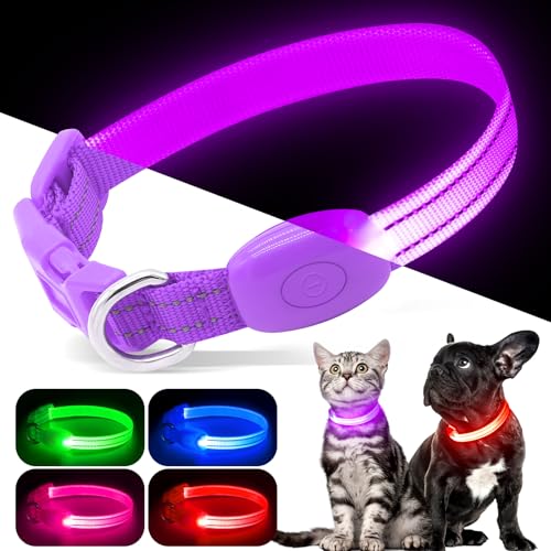 LED Leuchtende Hundehalsbänder (Lila, XS) von Kpuplol
