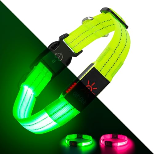 Leuchtende Hundehalsbänder, LED-Hundehalsband, Licht, verstellbar, über USB wiederaufladbar, superhell, Sicherheitslicht, leuchtet im Dunkeln, reflektierendes Hundehalsband für mittelgroße und große Leuchtende Hundehalsbänder, LED-Hundehalsband, Licht, verstellbar, über USB wiederaufladbar, superhell, Sicherheitslicht, leuchtet im Dunkeln, reflektierendes Hundehalsband für mittelgroße und große von Kpuplol