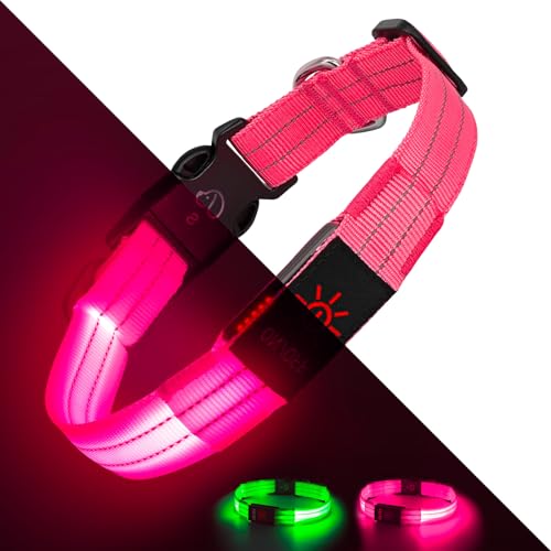 Leuchtende Hundehalsbänder, LED-Hundehalsband, Licht, verstellbar, über USB wiederaufladbar, superhell, Sicherheitslicht, leuchtet im Dunkeln, reflektierendes Hundehalsband für mittelgroße und große Leuchtende Hundehalsbänder, LED-Hundehalsband, Licht, verstellbar, über USB wiederaufladbar, superhell, Sicherheitslicht, leuchtet im Dunkeln, reflektierendes Hundehalsband für mittelgroße und große von Kpuplol