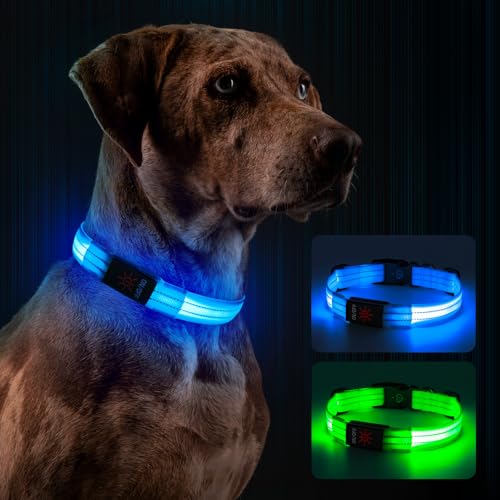 Leuchthalsband Hund, Hundehalsband Leuchtend Aufladbar mit Batteriekontrollleuchte, Wasserdichtes LED Hundegeschirr Leuchtend, Einstellbare Größe 3 Blinkende Lichter für Kleine Mittlere Große Hunde von Kpuplol