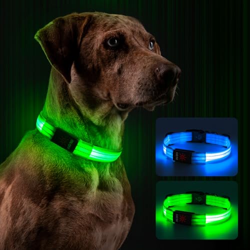 Leuchthalsband Hund, Hundehalsband Leuchtend Aufladbar mit Batteriekontrollleuchte, Wasserdichtes LED Hundegeschirr Leuchtend, Einstellbare Größe 3 Blinkende Lichter für Kleine Mittlere Große Hunde von Kpuplol