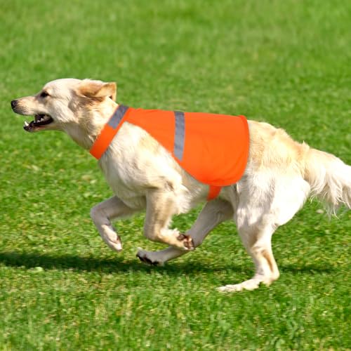 Warnweste Hund mit reflektierenden Elementen für Outdoor Aktivitäten Tag und Nacht, Verstellbar Sicherheitsweste für Hunde für Hält den Hund Sichtbar mehr Sicherheit im Dunkeln Orange XL Warnweste Hund mit reflektierenden Elementen für Outdoor Aktivitäten Tag und Nacht, Verstellbar Sicherheitsweste für Hunde für Hält den Hund Sichtbar mehr Sicherheit im Dunkeln Orange XL von Kpuplol