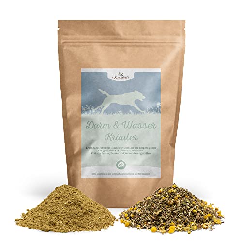 Krauterie Darm & Wasser Kräuter-Mischung für Hunde in Spitzenqualität (250 g) - Pulver - Artgerechtes Ergänzungsfuttermittel für Hunde, frei von Zusatzstoffen, zuckerfrei, getreidefrei Krauterie Darm & Wasser Kräuter-Mischung für Hunde in Spitzenqualität (250 g) - Pulver - Artgerechtes Ergänzungsfuttermittel für Hunde, frei von Zusatzstoffen, zuckerfrei, getreidefrei von Krauterie