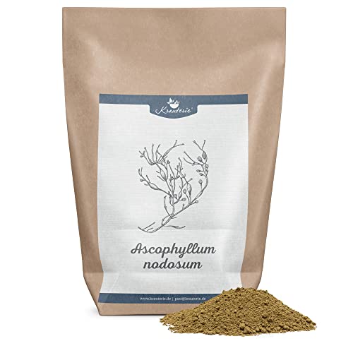 Krauterie Ascophyllum nodosum Hund, Einzelfuttermittel für Hunde (100 g), Seealgenmehl Kelp Pulver in Spitzenqualität Krauterie Ascophyllum nodosum Hund, Einzelfuttermittel für Hunde (100 g), Seealgenmehl Kelp Pulver in Spitzenqualität von Krauterie