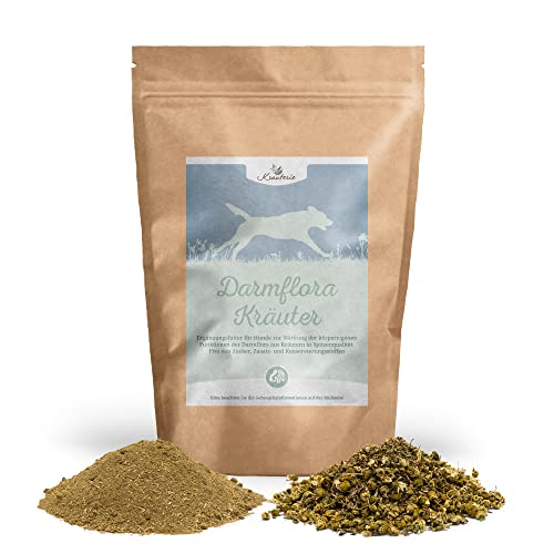 Krauterie Darmflora Kräuter-Mischung für Hunde in Spitzenqualität (250 g) - geschnitten - Artgerechtes Ergänzungsfuttermittel für Hunde, frei von Zusatzstoffen, zuckerfrei, getreidefrei Krauterie Darmflora Kräuter-Mischung für Hunde in Spitzenqualität (250 g) - geschnitten - Artgerechtes Ergänzungsfuttermittel für Hunde, frei von Zusatzstoffen, zuckerfrei, getreidefrei von Krauterie