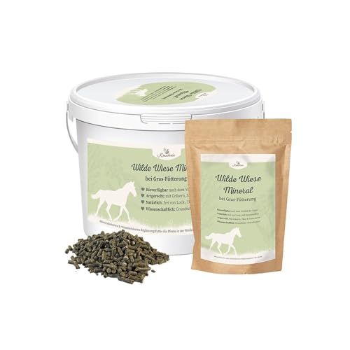 Krauterie Wilde Wiese Mineral - Grasfütterung (12000g), mineralisiertes und vitaminisiertes Ergänzungsfuttermittel für Pferde in Spitzenqualität, naturbelassen, aus Liebe zu Deinem Pferd von Krauterie