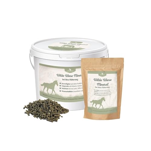 Krauterie Wilde Wiese Mineral - Heufütterung (6500g), mineralisiertes und vitaminisiertes Ergänzungsfuttermittel für Pferde in Spitzenqualität, naturbelassen, aus Liebe zu Deinem Pferd von Krauterie