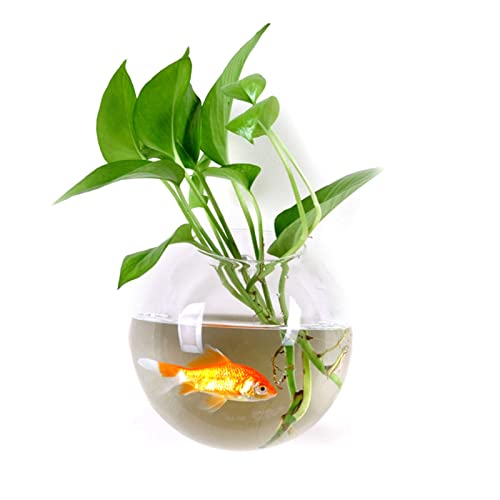 Kripyery 1 Set Wandbehang Fisch Schüssel, Wandmontierte Pflanzentopf, Wandbehang Fisch Tank, Fisch Tank Schüssel Dekor Pflanze, Fisch Pflanze Tanks, Hängende Fischschale Pflanze Vase für Pflanze Fisch Kripyery 1 Set Wandbehang Fisch Schüssel, Wandmontierte Pflanzentopf, Wandbehang Fisch Tank, Fisch Tank Schüssel Dekor Pflanze, Fisch Pflanze Tanks, Hängende Fischschale Pflanze Vase für Pflanze Fisch von Kripyery