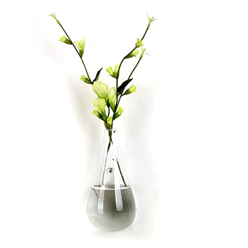 Kripyery 1 Set Wandbehang Fisch Schüssel, Wandmontierte Pflanzentopf, Wandbehang Fisch Tank, Fisch Tank Schüssel Dekor Pflanze, Fisch Pflanze Tanks, Hängende Fischschale Pflanze Vase für Pflanze Fisch Kripyery 1 Set Wandbehang Fisch Schüssel, Wandmontierte Pflanzentopf, Wandbehang Fisch Tank, Fisch Tank Schüssel Dekor Pflanze, Fisch Pflanze Tanks, Hängende Fischschale Pflanze Vase für Pflanze Fisch von Kripyery