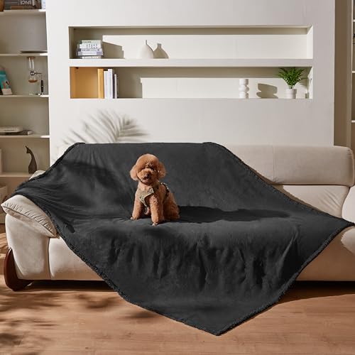 Kritter Planet Hundedecke Wasserdicht, Liebesdecke Sex Decke Wasserdicht, Waschbar Kuscheldecke Sofaschutz Tagesdecke für Sofa Autositz Couch Bett, XL 150x200cm Große Decke, Schwarz Kritter Planet Hundedecke Wasserdicht, Liebesdecke Sex Decke Wasserdicht, Waschbar Kuscheldecke Sofaschutz Tagesdecke für Sofa Autositz Couch Bett, XL 150x200cm Große Decke, Schwarz von Kritter Planet