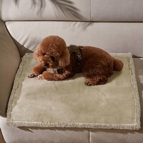 Kritter Planet Hundedecke Wasserdicht, Liebesdecke Sex Decke Wasserdicht, Waschbar Kuscheldecke Sofaschutz Tagesdecke für Sofa Autositz Couch Bett, S 63x76cm Klein Decke, Kamel/Taupe von Kritter Planet