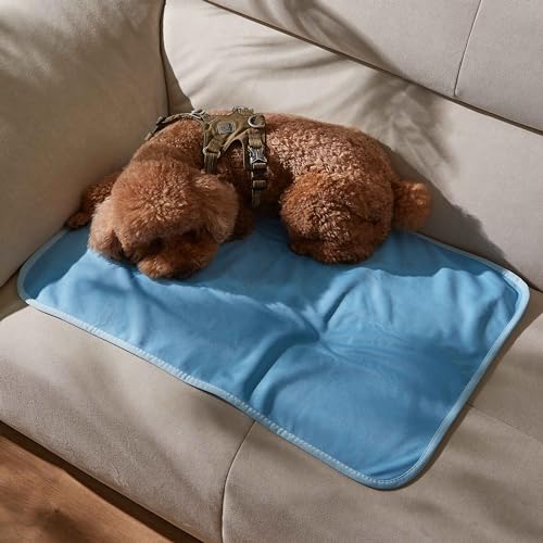 Kritter Planet wasserdichte Kühlende Hundedecke Waschbar, Kratzfeste Decke Schutz für Sofa Couch Bett, Leichte Kühle Katze Hundedecke Sofa Abdeckung, 75 x 50 cm, Blau von Kritter Planet