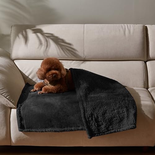 Kritter Planet wasserdichte Decke für Hunde, Pee Proof Sherpa Fleece Reversibel Abdeckung für Couch oder Bett, Flüssiger Beweis Möbelschutz für Kleine, Mittlere Tiere, 125 x 75 cm, Schwarz/Schwarz von Kritter Planet