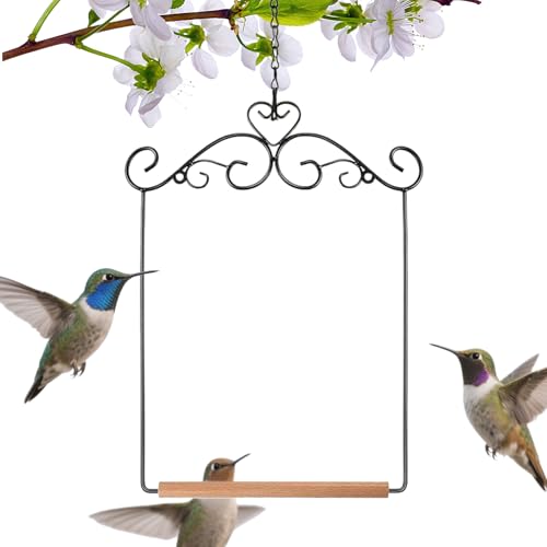 Krmoau Kolibri Schaukeln Und Sitzstangen - Aufhängbare Gartensitzstange - Vogel Spielplatz Schaukel Für Amazonen Kakadus Sittiche Nymphensittiche Drinnen Draußen Garten Krmoau Kolibri Schaukeln Und Sitzstangen - Aufhängbare Gartensitzstange - Vogel Spielplatz Schaukel Für Amazonen Kakadus Sittiche Nymphensittiche Drinnen Draußen Garten von Krmoau